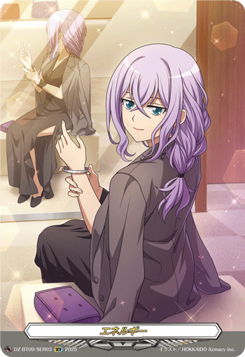 VG-DZ-BT09/SER03 SER エネルギー