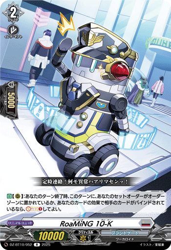 VG-DZ-BT10/052 R RoaMiNG 10-K