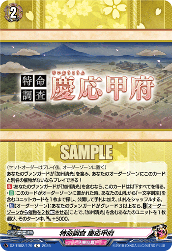 VG-DZ-TB02/170 C 特命調査 慶応甲府
